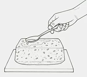 Images Dated 8th December 2009: Black and white illustration of spooning syrup on top of baked cake