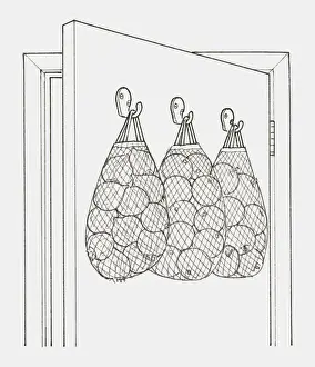 String Prints: Black and white illustration of string bags holding fruit and vegetables hanging from hooks on the back of a door