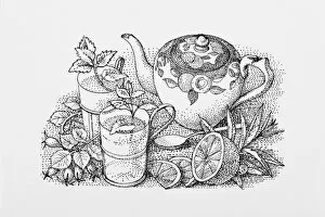 Images Dated 5th May 2009: Black and white illustration of teapot, mint tea, sliced lemon, and herb leaves