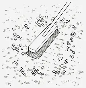 Sweeping Prints: Black and white illustration of using broom to remove toadstools from lawn, close-up