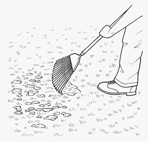 Black and white illustration of using leaf rake to clear moss from lawn