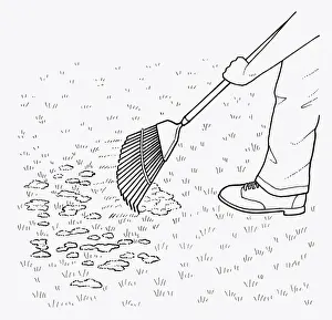 Rake Prints: Black and white illustration of using leaf rake to clear moss from lawn