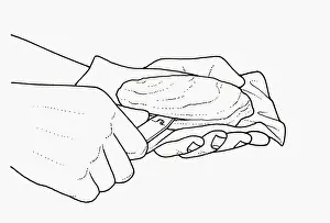 Resourceful Prints: Black and white illustration using tin opener to open oyster shell opening