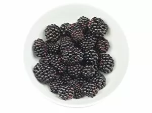 Images Dated 1st August 2014: Blackberries in a bowl