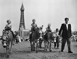 Donkey Prints: Blackpool Rides