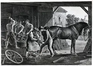 Horseshoe Prints: Blacksmith Changes Horseshoe In Shop;Ill