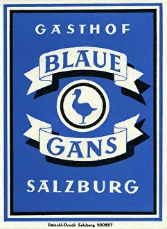 Huty19024 Prints: Blaue Gans