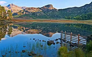 Images Dated 16th September 2014: Blea Tarn, Cumbria