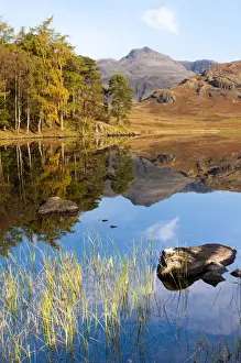 Blea Tarn lake autumn sunrise. Lake District National park. UK. Europe
