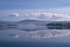Images Dated 11th April 2016: Blessington Lake, Co Wicklow, Ireland