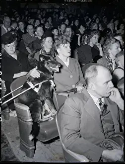 Blind Woman And Dog At Movie Theater