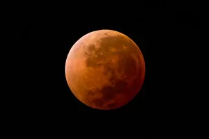 Images Dated 15th April 2014: Blood moon, full lunar eclipse, Uruguay, 2014