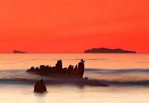 Images Dated 20th May 2012: Bloodred sunset