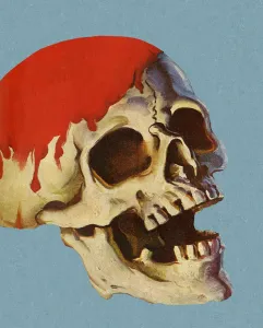 Illustr Prints: Bloody Skull