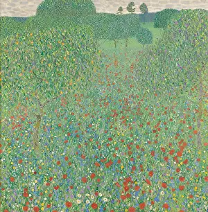 Wildflowers Prints: Blooming Poppies