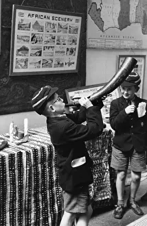 Blow Your Horn