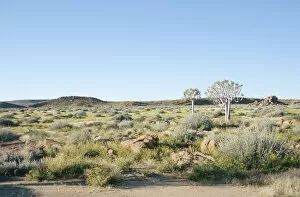 Namibia Collection: Blue, Bush, Bushveld, Clear Sky, Horizon Over Land, Landscape, Namibia, Nature, Non-Urban Scene