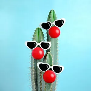 Images Dated 16th May 2017: blue cactus decorated with sunglasses and clown nose
