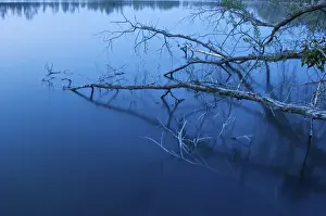 Pools Prints: Last blue light at a lake, Austria, Europe