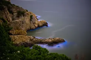 Visual Treasure Prints: Blue Tears Bioluminescent algae Noctiluca Scintillans