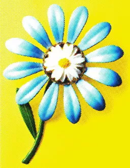 Art Illustrations Gallery: Blue and White Flower