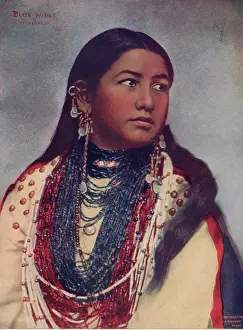 Timeline Native Prints: Blue Wings