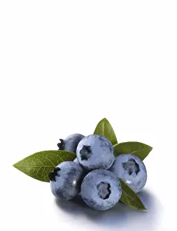 Freshly Prints: Blueberries with leaves
