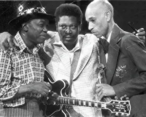 Blues Legends On The Midnight Special