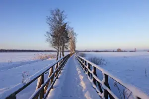 Bad Buchau Prints: Boardwalk, winter landscape, Federsee Lake Nature Reserve