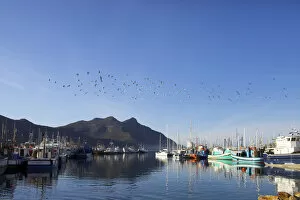 Images Dated 3rd October 2011: boat, clear sky, color image, colour image, day, daytime, harbor, horizontal, hout bay