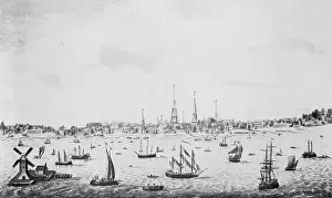 Boat-Filled Harbor