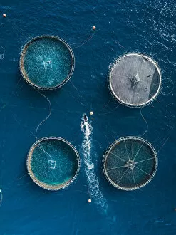 Images Dated 2nd August 2019: Boat inspecting a fish farm as seen from above, Lanzarote