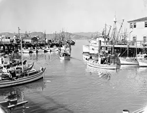 Boats at Fisherman's Wharf, California