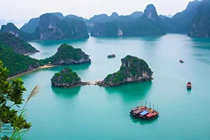Branch Collection: Boats in Ha Long Bay, Quang Ninh, Vietnam
