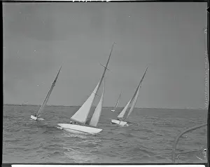Long Beach Prints: Boats Sailing in Regatta Race