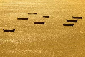 Images Dated 21st February 2013: Boats on the sea, Rameswaram, Pamban Island, Tamil Nadu, India