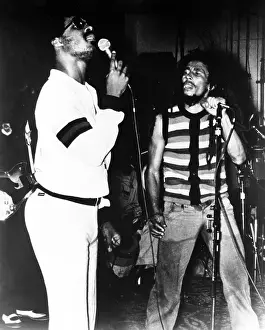 Bob Marley And Stevie Wonder