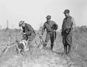 Quail Prints: Bobby Jones Quail Hunting with Melvin Traylor