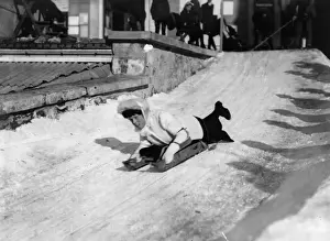Bobsled Prints: Bobsleigh Ride