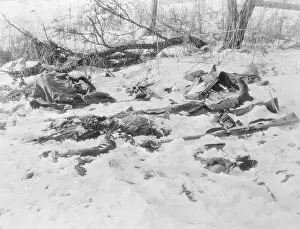Bodies Uncovered By Melting Snow