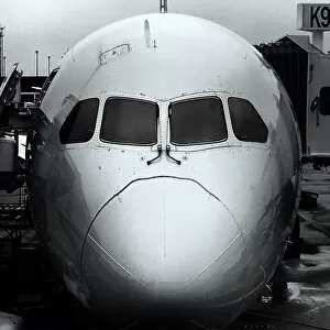 Airplanes Collection: Boeing 787 Dreamliner
