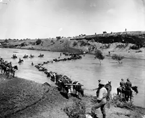 Reinhold Thiele (1856-1921) Prints: Boer War