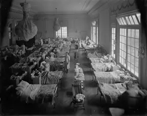 The Boer Wars Prints: Boer War Casualties