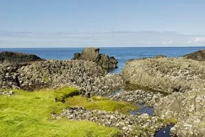 Region Collection: Bog pools in weathered basalt blocks at Northern Irish coast at Ballintoy Harbour, County Antrim
