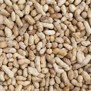 Images Dated 7th January 2011: Boiled peanuts on sale at a market, Thailand