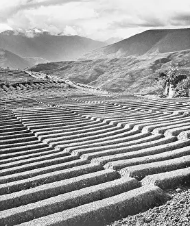 Eroding Prints: Bolivian Traced Fields
