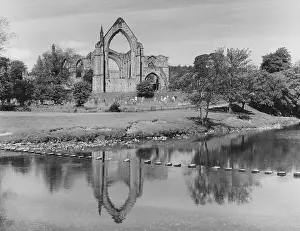 Natural World Prints: Bolton Abbey