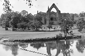 Lac0078 Prints: BOLTON ABBEY