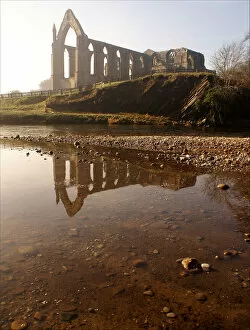 Terry Roberts Landscape Photography Collection: Bolton Abbey Ruin
