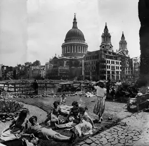 Bombsite Garden